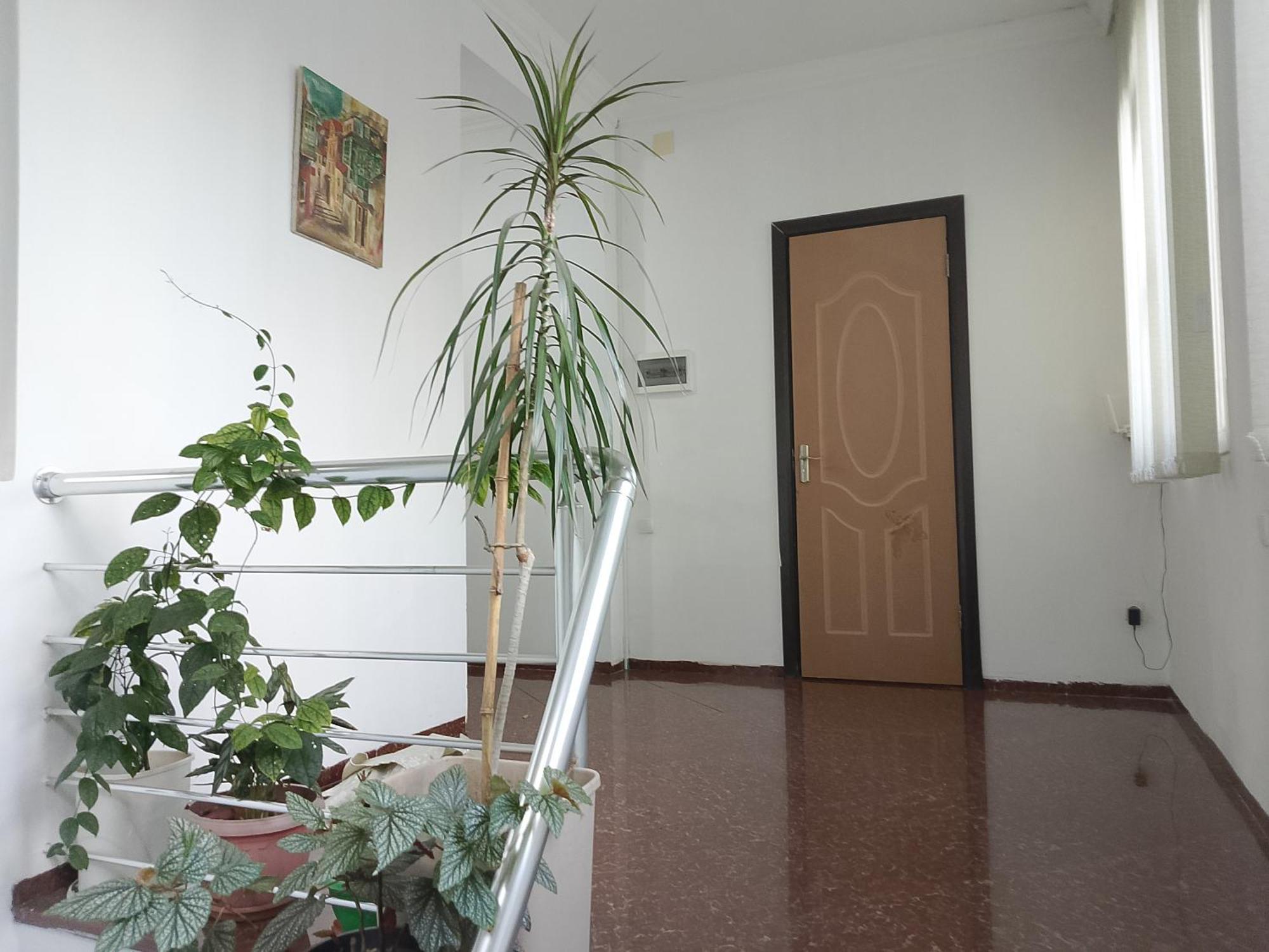 Hostel Jesis Batumi Zewnętrze zdjęcie